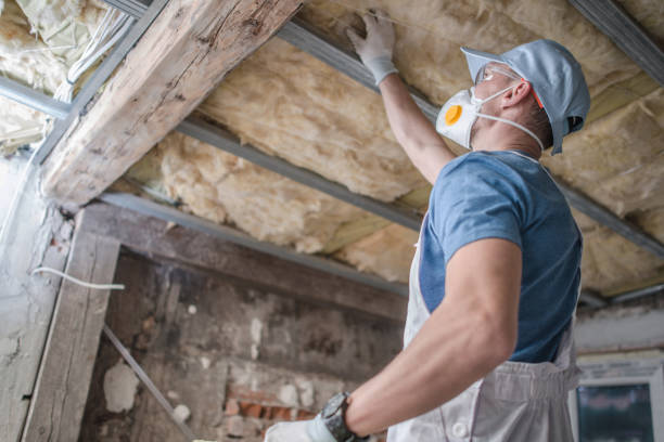 Best Energy Efficiency Insulation in Soh Jordan, UT