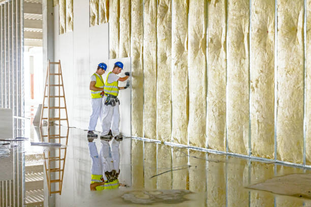 Best Blown-in Insulation in Soh Jordan, UT